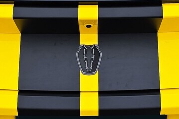 Ford Mustang GT Dark Horse mieten