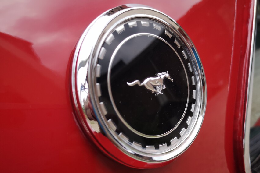 Ford Mustang Mach 1 mieten