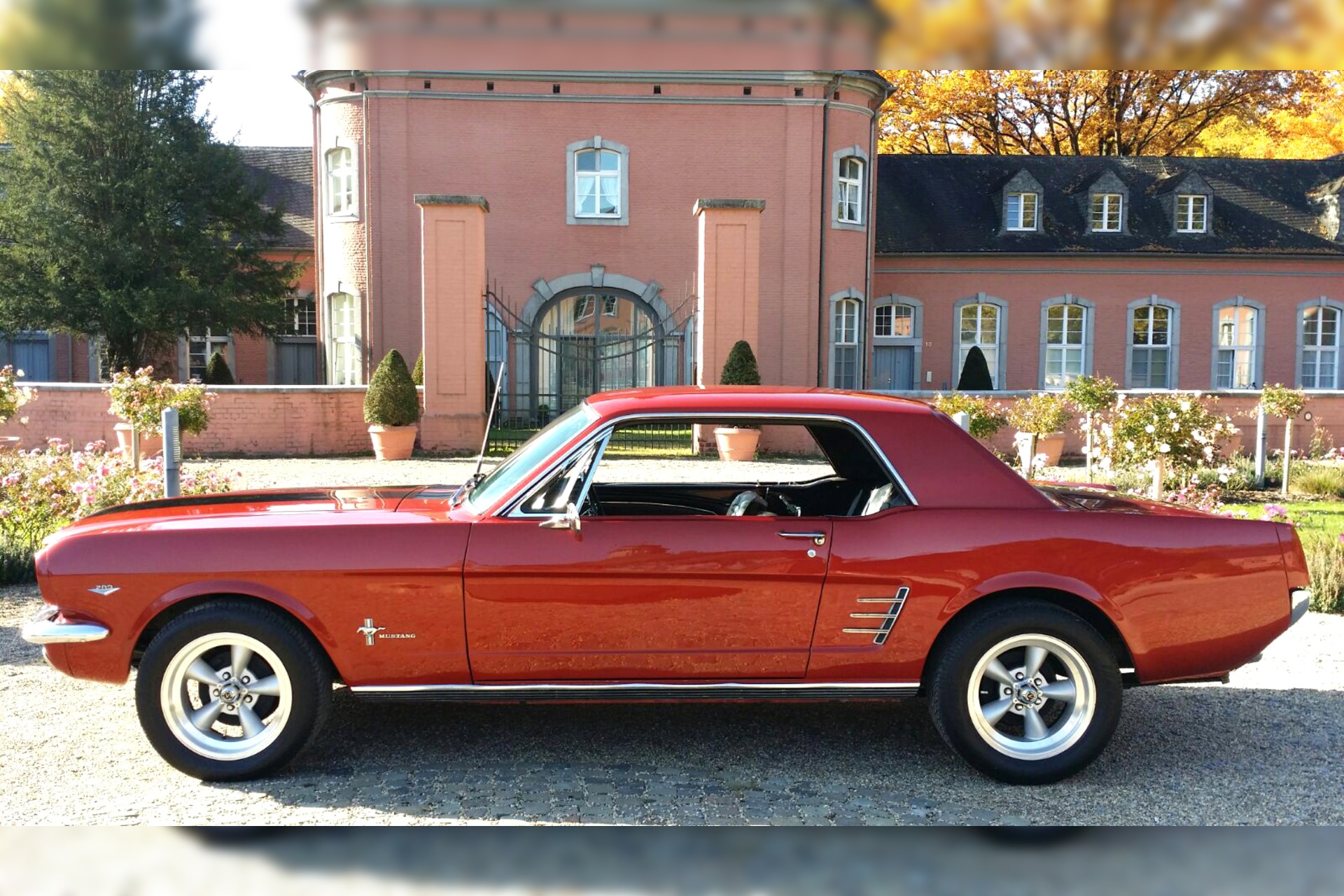 Ford Mustang Oldtimer mieten